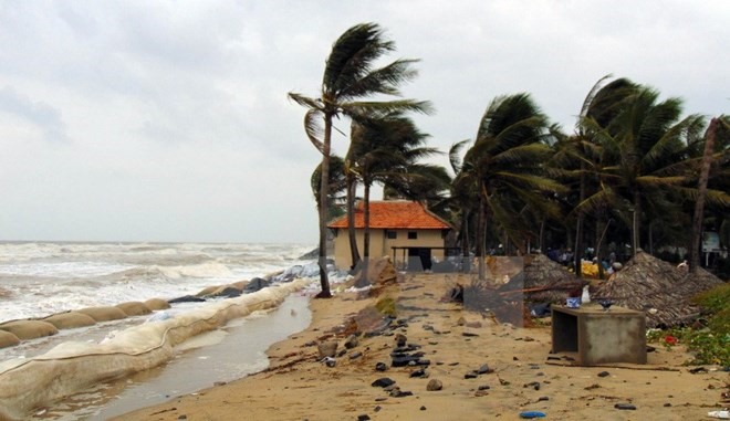 Serious erosion in the Cửa Đại beach of Hội An City, Quảng Nam Province, took place in 2016, due to climate change, resulting in rising sea level, eating away the coastline. — VNA/VNS Photo Đỗ Trưởng Read more at http://vietnamnews.vn/environment/351509/storms-forecasted-to-arrive-early-in-the-east-sea.html#UKUxvgTHygGjwadM.99