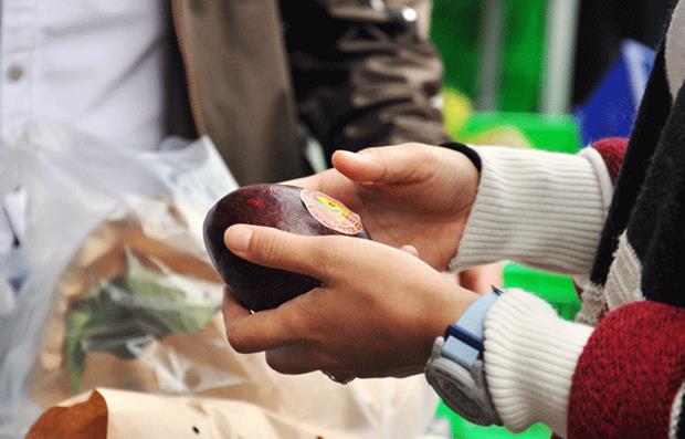   Checking the label of origin on an avocado