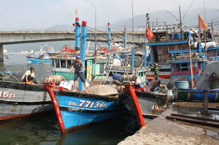 Không khí tấp nập tại các bến cảng từ Nha Trang, Quảng Ngãi, Đà Nẵng khi ngư dân vẫn đang ra khơi mỗi ngày. 