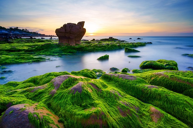    The beach in the mossy season