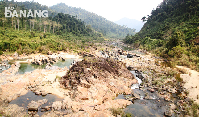 Lưu vực Đăk Mi vốn chiếm 40% trữ lượng nước cấp cho sông Vu Gia nay đã cạn khô, trơ đáy