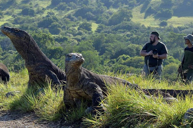 Công viên quốc gia Komodo ở Indonesia.