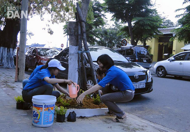 Đoàn viên thanh niên quận Hải Châu trồng và chăm sóc bồn hoa trên tuyến đường Trần Quý Cáp.