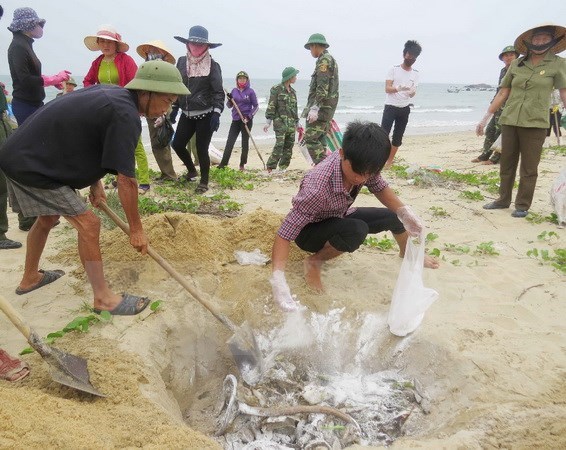 Four central localities were seriously ravaged by Formosa-caused sea environmental incident in April 2016 (Photo: VNA)