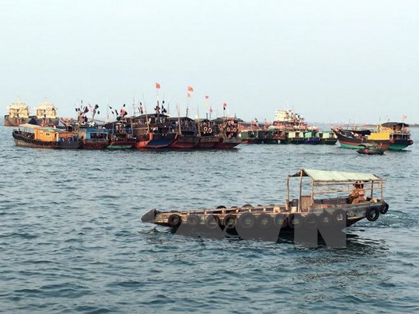 Tàu cá Trung Quốc hoạt động trên biển Hoa Đông. (Ảnh: Reuters/TTXVN)