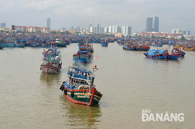 Tàu của ngư dân miền Trung ra khơi.  Ảnh: NGỌC PHÚ