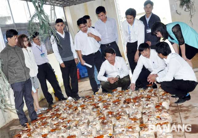 Representatives from the local authorities learning about the production of Lingzhi mushrooms at the Centre