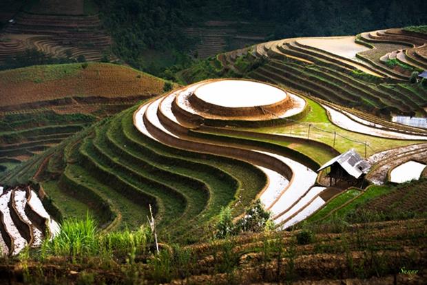 An incredible sight of terraced fields 