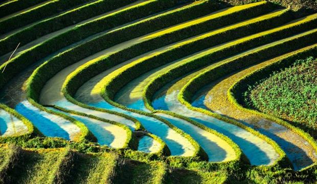 Not vast in size like the paddy fields in the deltas, terraced fields in the highlands of the North-west overlap from layer to layer as ladders reaching to the blue sky.