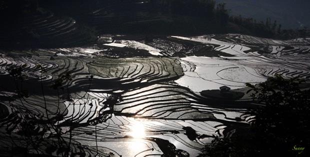 The North-west rice fields filled with water until planting, sparkling like a coloured mural amidst jungles and mountains.