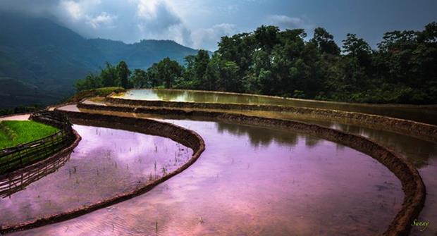 Water runs from field to field, rolling in the colour of mulch mixed with the reflected blue sky, creating a spectacular picture. Perhaps, no artist can colour such vivid and energetic paintings like the north-western farmers.