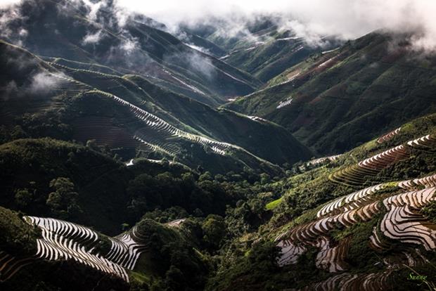 The typical characteristics of the terraced fields are high steep levels and winding terrain. Farmers mainly utilise natural water sources to cultivate rice, so making the water run into their fields is an art that requires talented and industrious efforts.