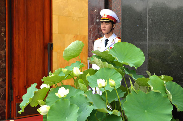 The pure fragrance of white lotus flowers beside the Ho Chi Minh Mausoleum.