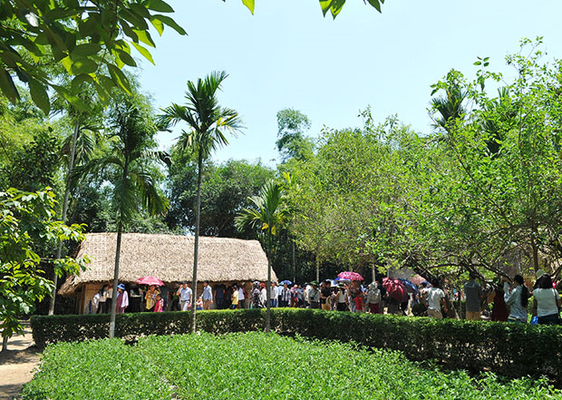 Shady lines of shrubbery and areca trees in Uncle Ho’s mother hometown – Hoang Tru village, Nam Dan district, Nghe An province.