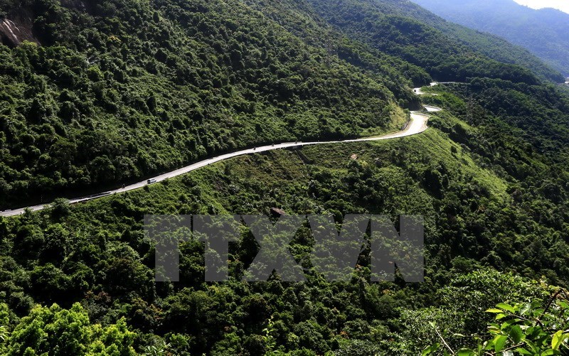 A tortuous road along the pass seen from Hai Van Gate in Thua Thien-Hue province. (Photo: VNA)