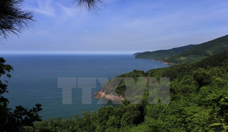 Blue ocean seen from the top of Hai Van Pass in Thua Thien-Hue. (Photo: VNA)