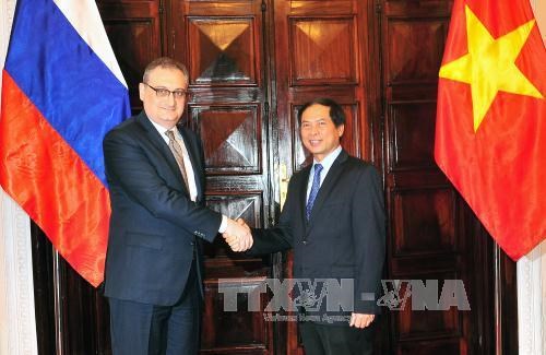 Deputy Foreign Minister Bui Thanh Son (R) and his Russian counterpart Igor Morgulov (Source: VNA)