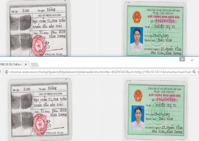 Two almost identical ID cards with different identity numbers. 