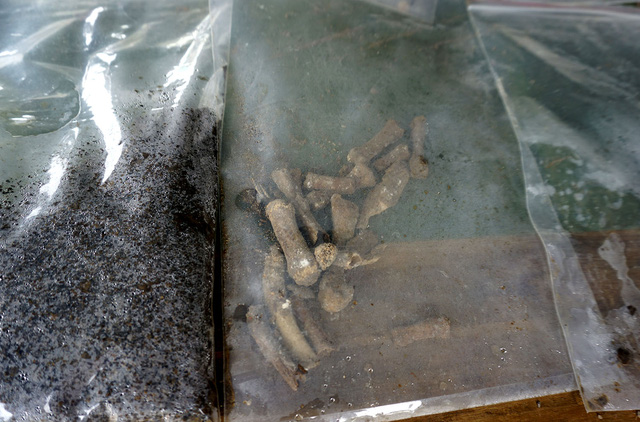 Một số mẩu xương được tìm thấy tại hiện trường tìm kiếm