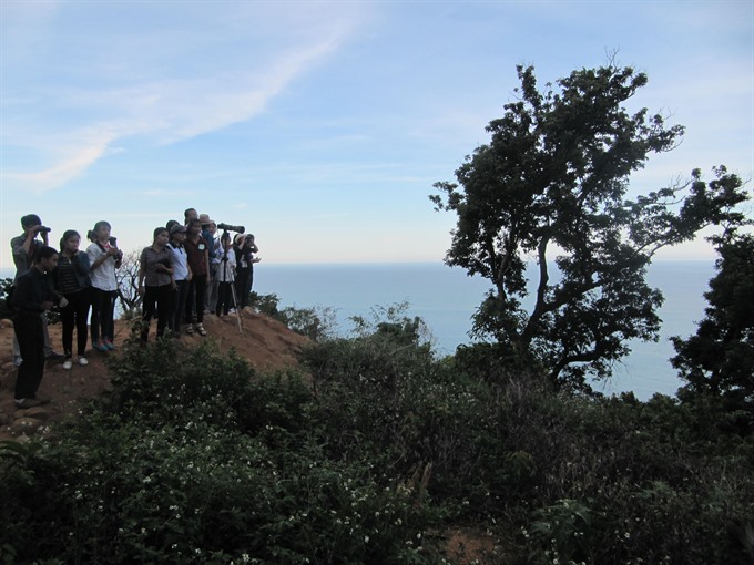 Tourists join a tour to watch the red-shanked doucs living in the Sơn Trà Nature Reserve in Đà Nẵng city. The city plans to install security camera systems to monitor security, traffic, and forest protection in the reserve. — VNS Photo Công Thành Read more at http://vietnamnews.vn/society/381154/central-city-to-install-security-camera-in-the-son-tra-nature-reserve.html#HCfsXauofR95rmD1.99