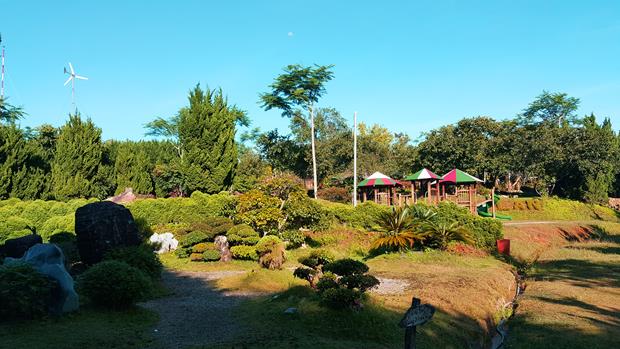 A fascinating display of bonsai and ornamental plants in the valley