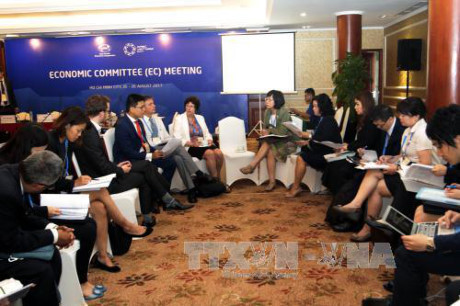 Đại diện các nền kinh tế họp nhóm tại cuộc họp Ủy ban kinh tế (EC). Ảnh: Hoàng Hải/TTXVN