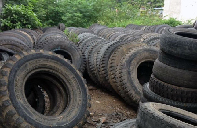 Hàng trăm lốp ô-tô cũ tại cơ sở của ông Hùng không chỉ gây ô nhiễm, mà còn là môi trường thuận lợi để ruồi, muỗi phát sinh.