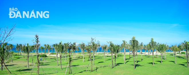 AEDCC surrounded by trees of varying shades of green