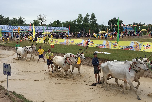 Nước tăng lực Number 1 là nhà tài trợ chính của giải.