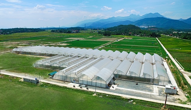 Chỉ trong vòng 24 tháng, VinEco đã xây dựng và phát triển thành công 14 nông trường quy mô và chuyên nghiệp trên cả nước.