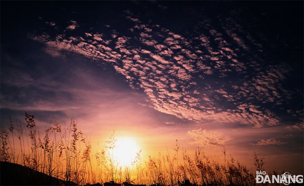 Early morning sun rays