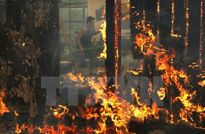 Khói lửa bốc lên từ đám cháy rừng ở Glen Ellen, California ngày 9/10. (Nguồn: AFP/TTXVN)