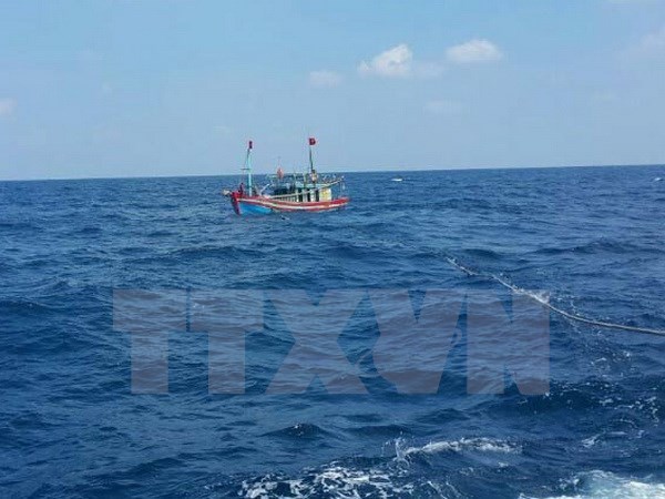 Vietnamese fishing vessel operates in East Sea - Illustrative image (Source: VNA)