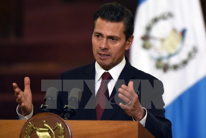 Tổng thống Mexico Enrique Peña Nieto. (Nguồn: AFP/TTXVN)