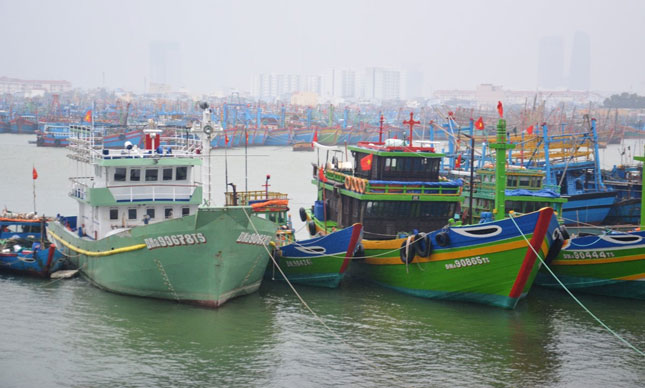 Hiện có gần 1.000 tàu thuyền đang neo đậu tránh, trú bão tại Âu thuyền Thọ Quang.