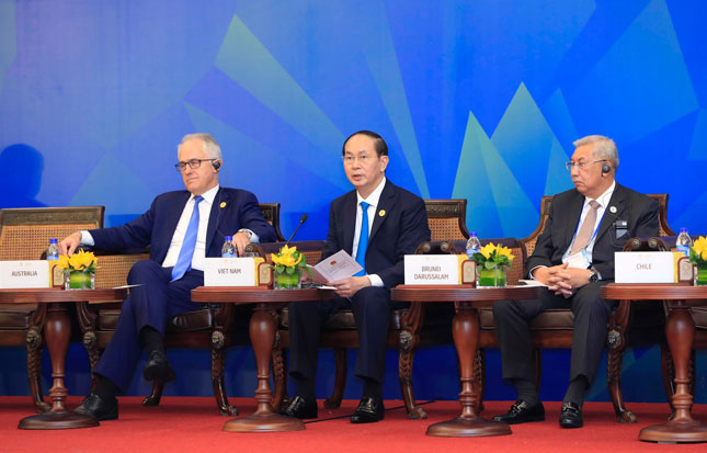 Chủ tịch nước Trần Đại Quang (giữa), Chủ tịch Hội nghị Cấp cao APEC lần thứ 25 dự và phát biểu tại phiên toàn thể Đối thoại giữa các nhà lãnh đạo kinh tế APEC với Hội đồng Tư vấn doanh nghiệp APEC (ABAC), diễn ra tại khách sạn Furama, thành phố Đà Nẵng. Ảnh: TTXVN