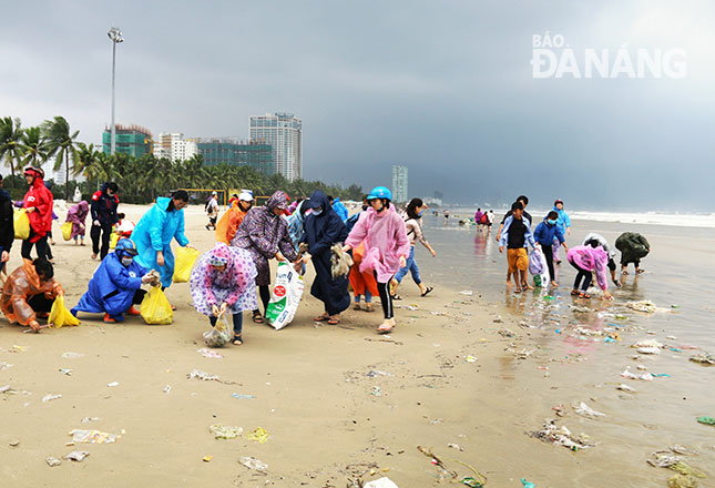 Người dân quận Sơn Trà tham gia dọn vệ sinh trên bãi biển sau khi bị ảnh hưởng bão số 12, nhằm bảo đảm cảnh quan sạch - đẹp, chào đón Tuần lễ Cấp cao APEC 2017. Ảnh: THANH TÌNH