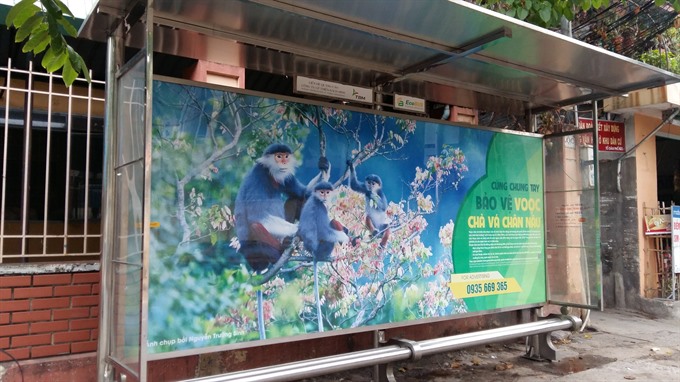 A bus stop in Đà Nẵng. Solar power systems will be installed at public bus stops in the city to supply clean power for mobile phone chargers, wifi and lighting. — VNS Photo Công Thành Read more at http://vietnamnews.vn/society/417759/solar-power-set-for-bus-commuters-and-tourists.html#HYWSPVKLOkJQOpQq.99