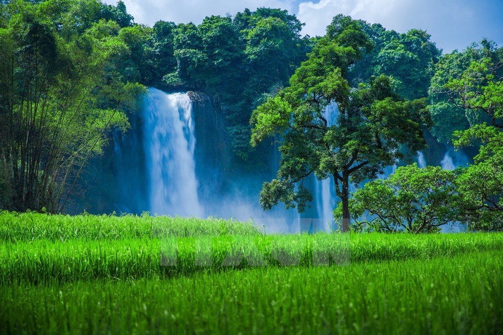 Vast greenery decorates the waterfall ​landscape (Photo: VNA)