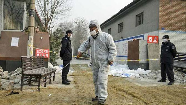 Khử trùng tại trại vịt có virus cúm gia cầm ở Hàn Quốc.