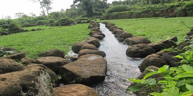Dòng nước tinh khiết được lấy từ những thủy lộ ngầm dưới những lớp đá đã tưới tắm cho loại rau cải xoong nổi tiếng ở Quảng Trị. Ảnh: Internet