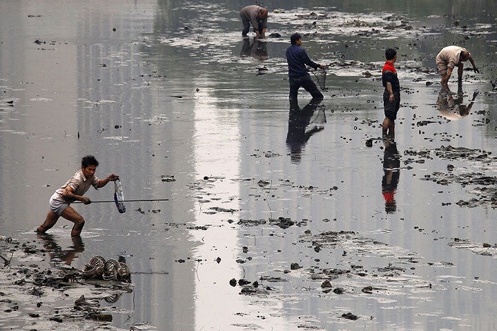 Các ngư dân đang thu lượm cá tại một con kênh ô nhiễm ở thủ đô Bắc Kinh.