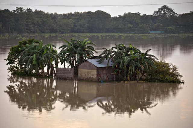 Người đàn ông quăng lưới bắt cá khi nước lũ dâng ngập nhà ở bang Assam, Ấn Độ ngày 17/8