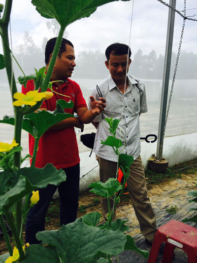 Anh Phan Phúc Tuấn (trái) chia sẻ kinh nghiệm trồng rau sạch cho khách đến tham quan vườn rau.Anh Phan Phúc Tuấn (trái) chia sẻ kinh nghiệm trồng rau sạch cho khách đến tham quan vườn rau.
