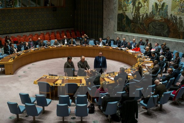 Toàn cảnh một cuộc họp Hội đồng Bảo an Liên hợp quốc ở New York, Mỹ ngày 13/11. (Nguồn: AFP/TTXVN)