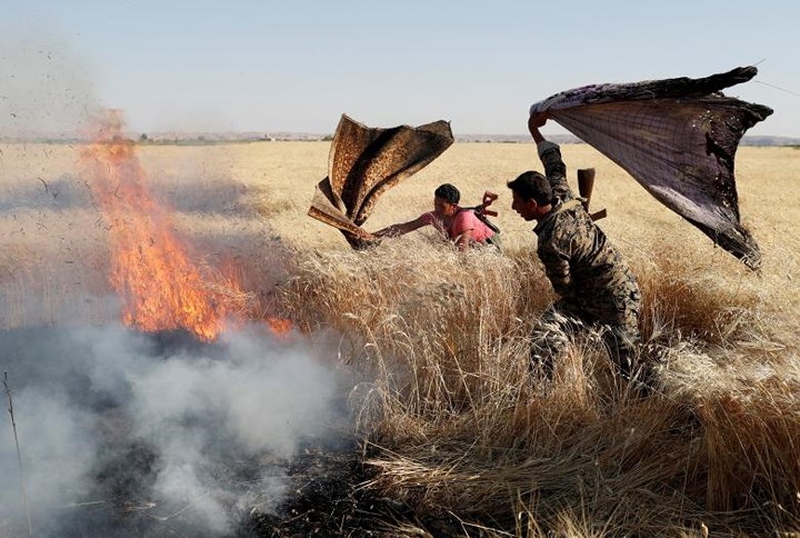 Chiến binh người Kurd (YPG) dập lửa trên một cánh đồng lúa mì bị cháy do giao tranh với IS ở Raqqa, Syria vào ngày 15-6.