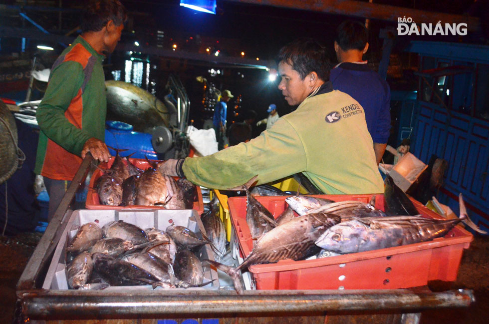 Freshly-caught seafood ready for sale