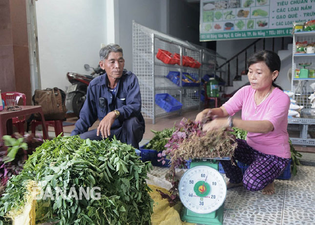Ngày càng có nhiều sản phẩm nông nghiệp của Hòa Vang được thị trường ưa chuộng.  							         Ảnh: V.T.L