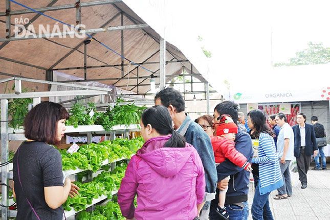 Nhờ ứng dụng kỹ thuật công nghệ cao, sản phẩm rau sạch được trồng tại huyện Hòa Vang luôn được người dân thành phố tin dùng. TRONG ẢNH: Rau sạch Hòa Vang tham gia phiên chợ nông dân tại Đà Nẵng.