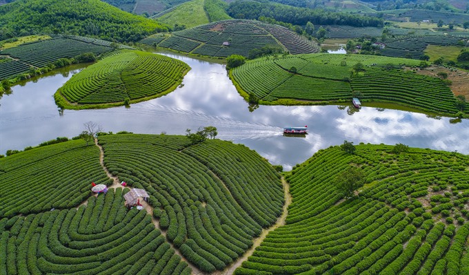 From above: ’Tea Farm’ by Nguyễn Thanh Hải won first prize at the photo contest themed Khát Vọng Của Thiên Nhiên (Aspiration of Nature). — Photos courtesy of Việt Nam Association of Photographic Artists Read more at http://vietnamnews.vn/life-style/419728/winners-of-environmental-photo-contest-announced.html#787qphWW1USgyEZ8.99